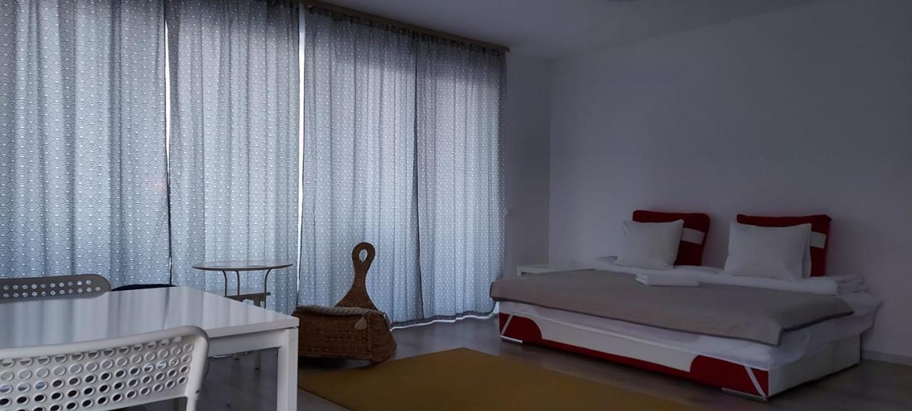 Exquisite Apartment Brasov