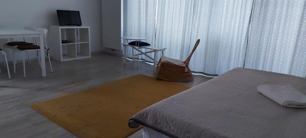Exquisite Apartment Brasov