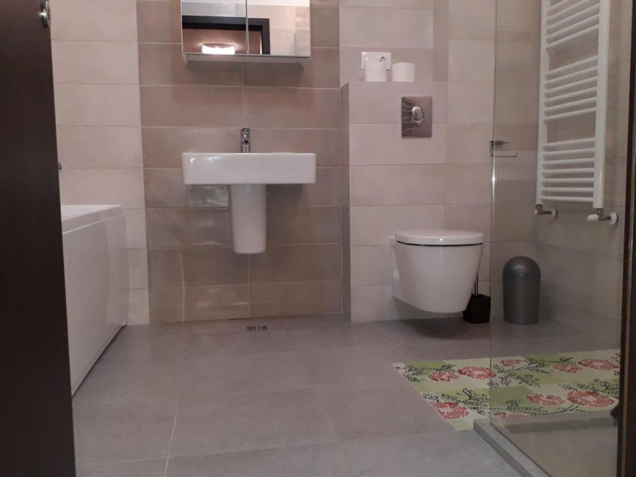 Exquisite Apartment Brasov